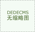 5)权证投资策略A、投资策略按照权证做为衍生品